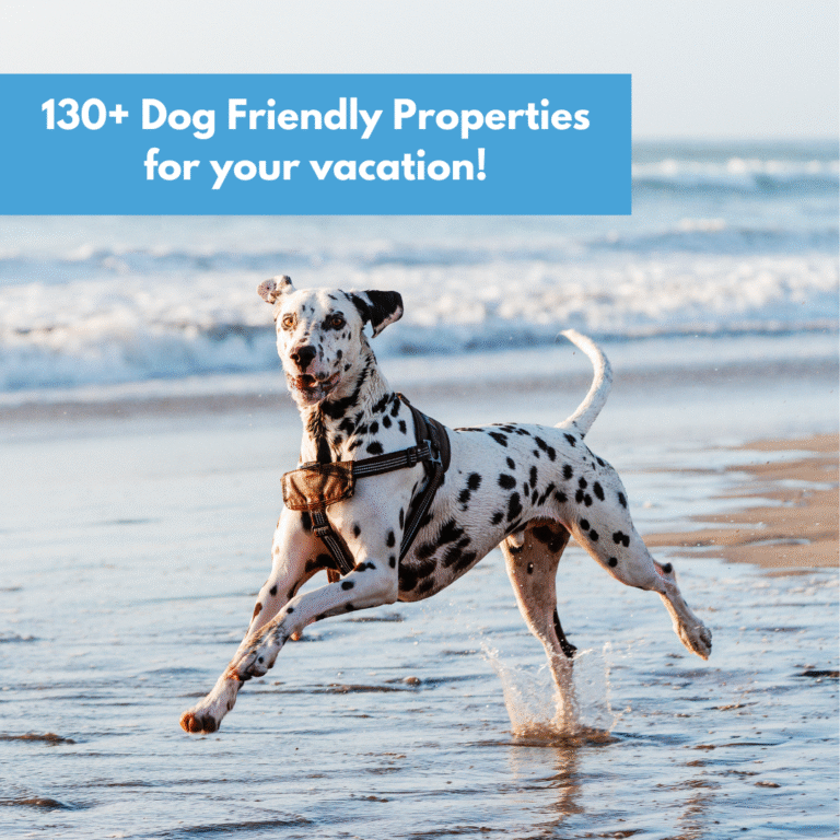 Oak Island is one of the top dog friendly beaches in NC! We hope to see your pups enjoying their vacation with you. Tag us and we will repost your pet to our story. It will make our day🐕🐾