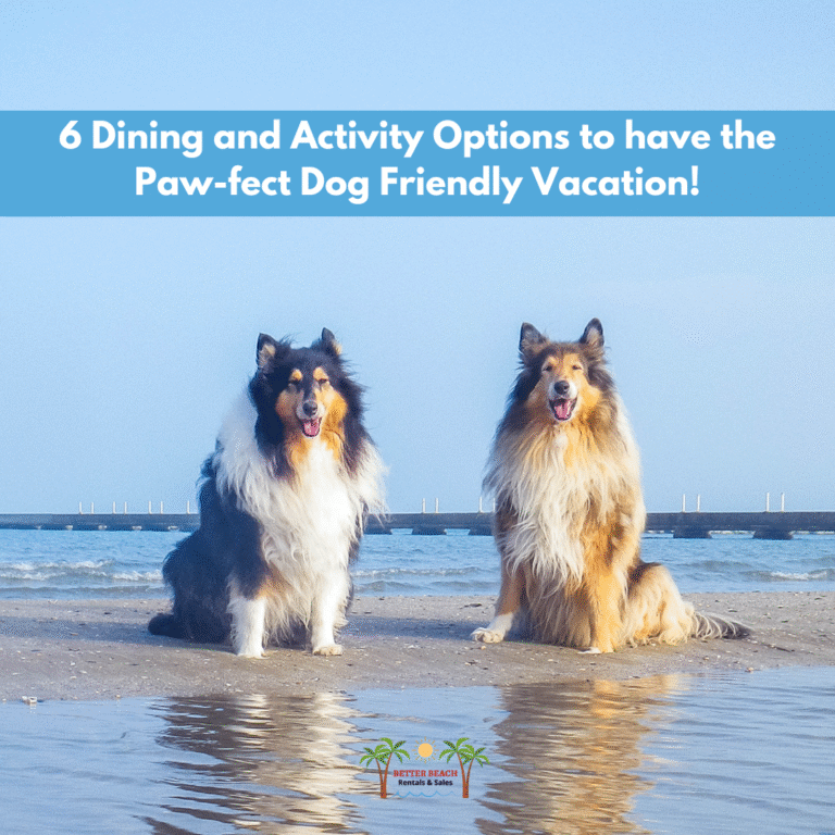 At BBR we agree pets should be included in your family vacation! Check out our blog post on our website now to see some of our top recommendations to enjoy your vacation with your furry best friend to the fullest here in OKI 🏖️ 🐶